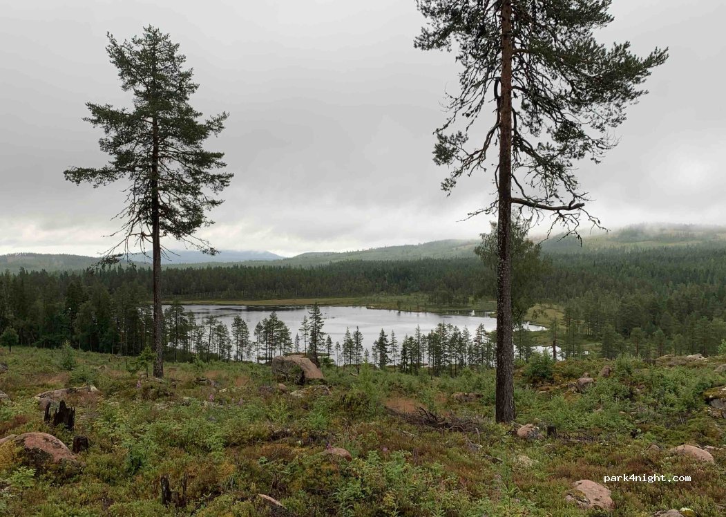(792 90) Sollerön - Unnamed Road — foto 5
