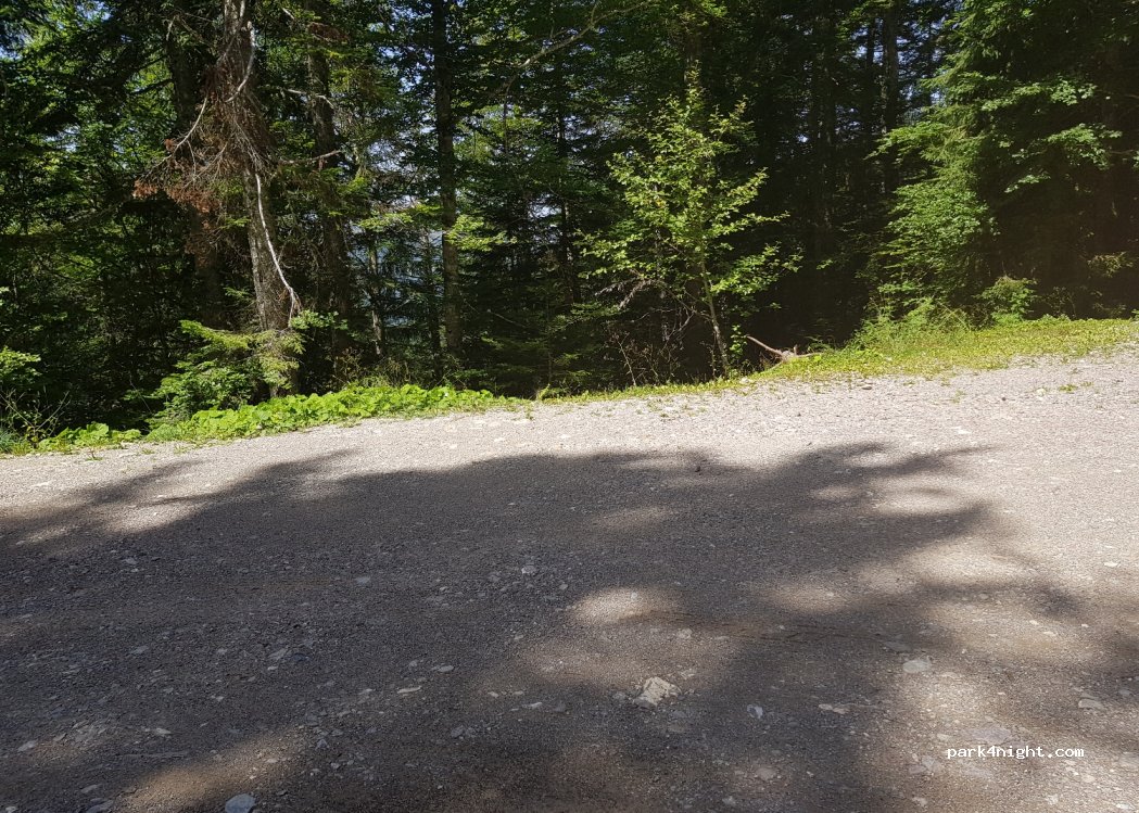 (74440) Mieussy - Chemin Rural dit d'Acodex — foto