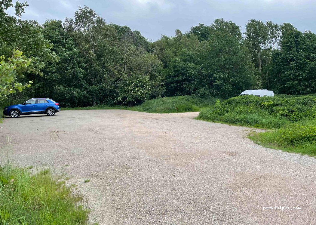 (49767) Twist - 2 Rühlermoor — foto 2