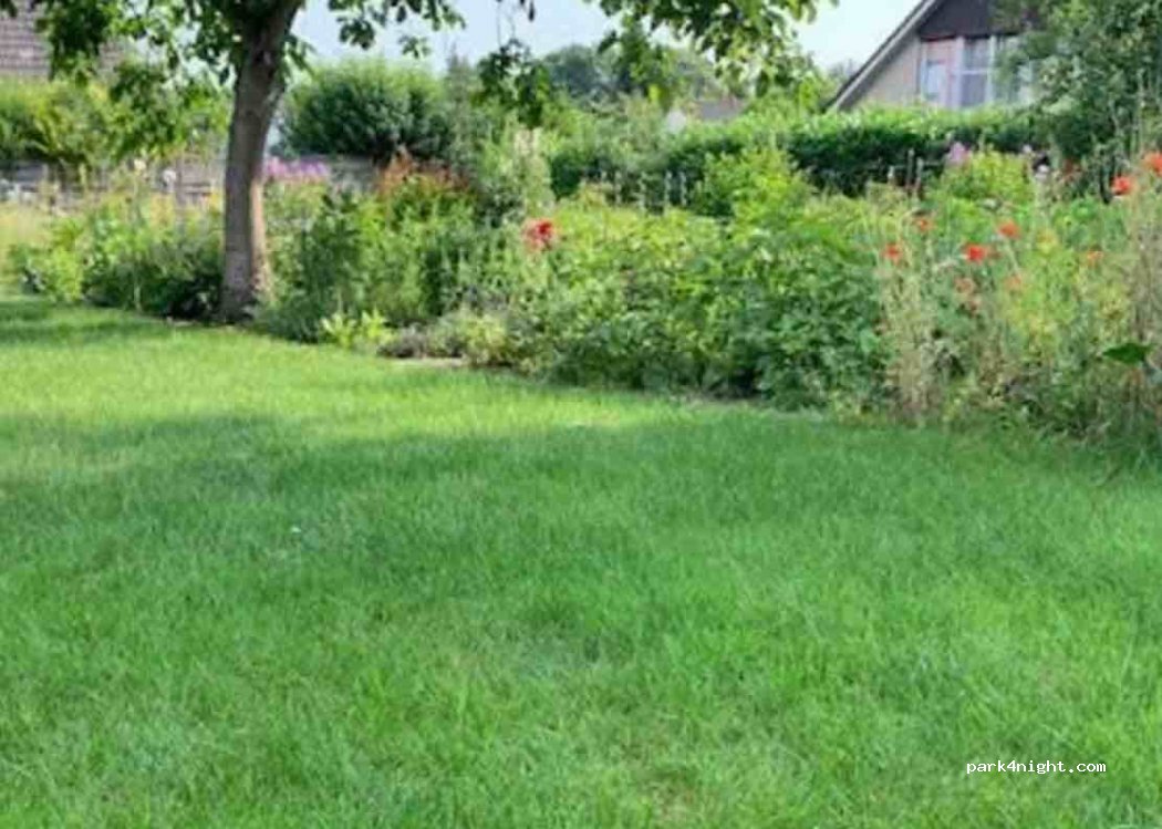(27446) Selsingen - Eichenweg 2 — foto 3