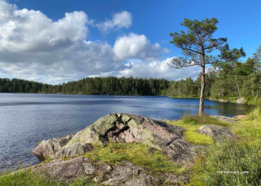 (450 63) Högsäter - Unnamed Road — foto 3