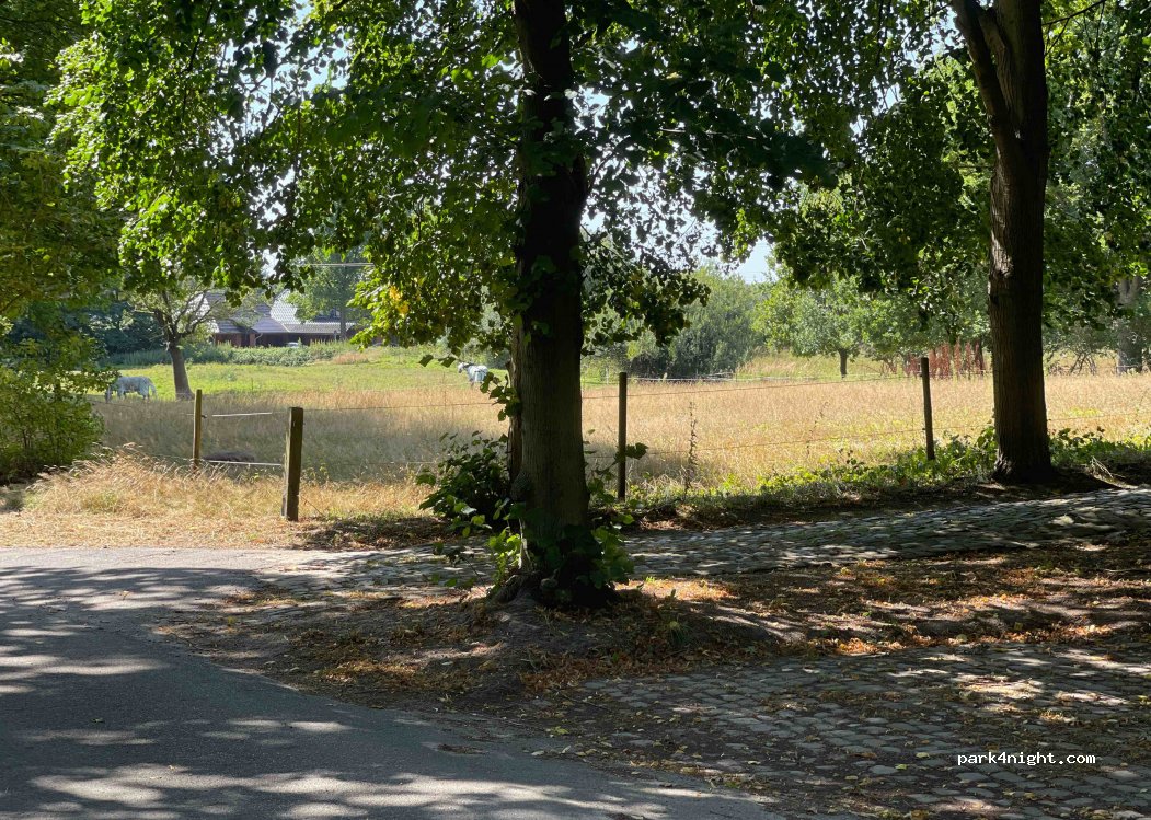 (38465) Brome - 9 Mühlenweg — foto