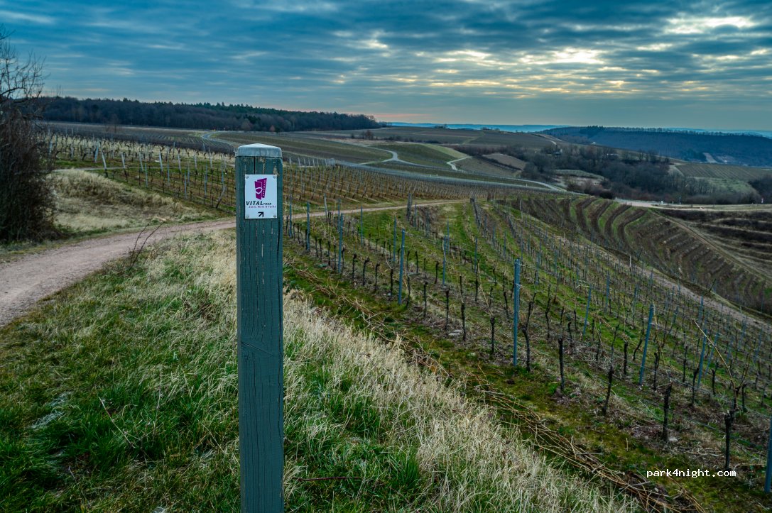 (55595) Wallhausen - 9 Windesheimerstraße — foto 4