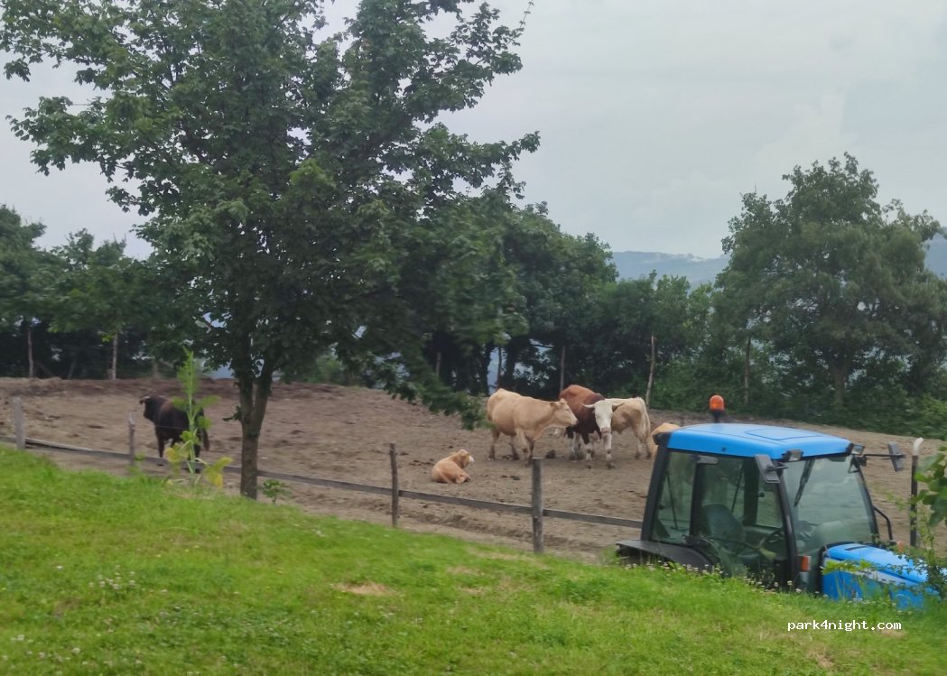 Silvana Jakomin camping — foto 4