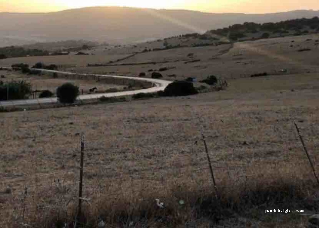 (11391) Tarifa - CA-8202 — foto