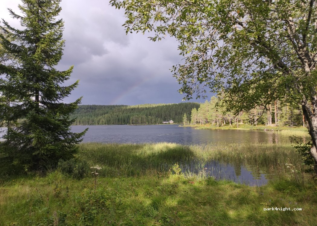 (3624) Lyngdal I Numedal - 10-11 Sekundær Fylkesveg 63 — foto