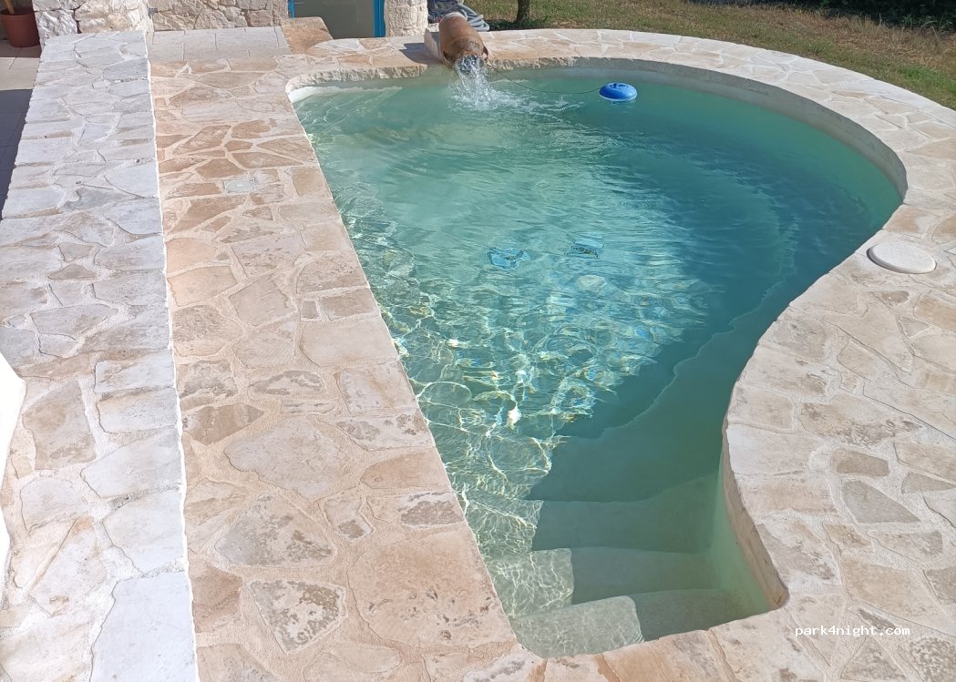 Il nido del gheppio — foto 5