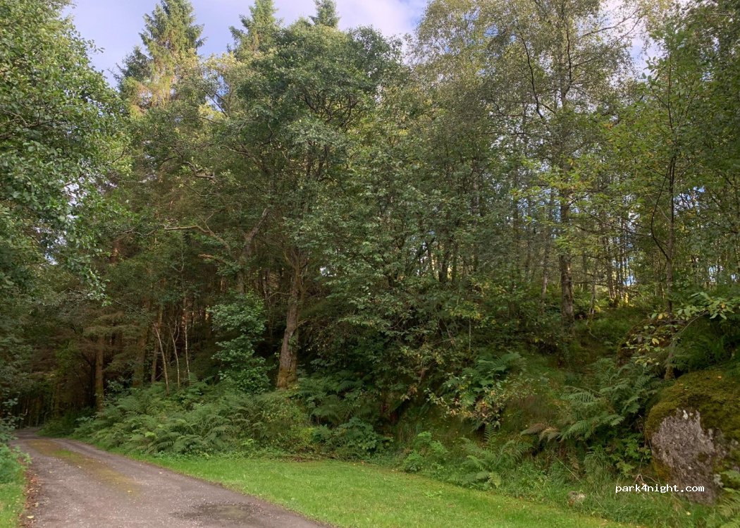(5912) Seim - 209 Lurevegen — foto 2