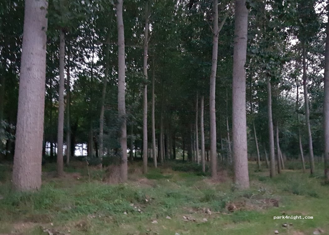 (47310) Sérignac-sur-Garonne - Unnamed Road — foto