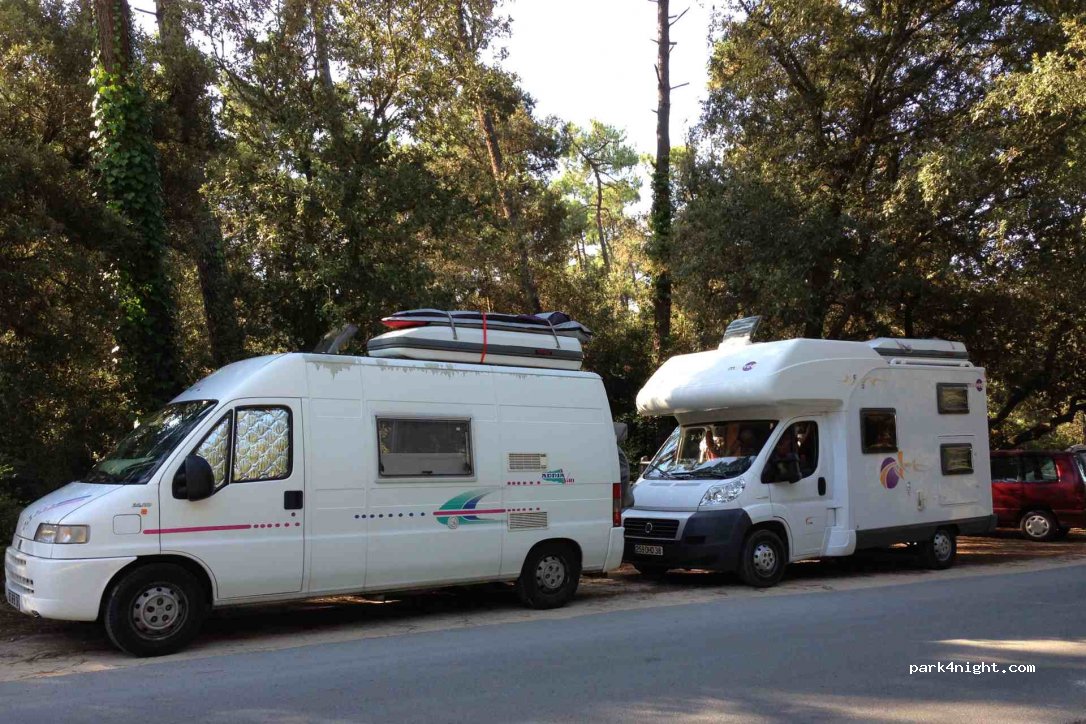(17550) Dolus-d'Oléron - Forêt des Loritz — foto