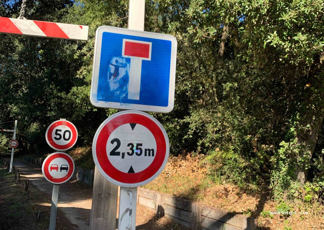 (17550) Dolus-d'Oléron - Forêt des Loritz — foto 3