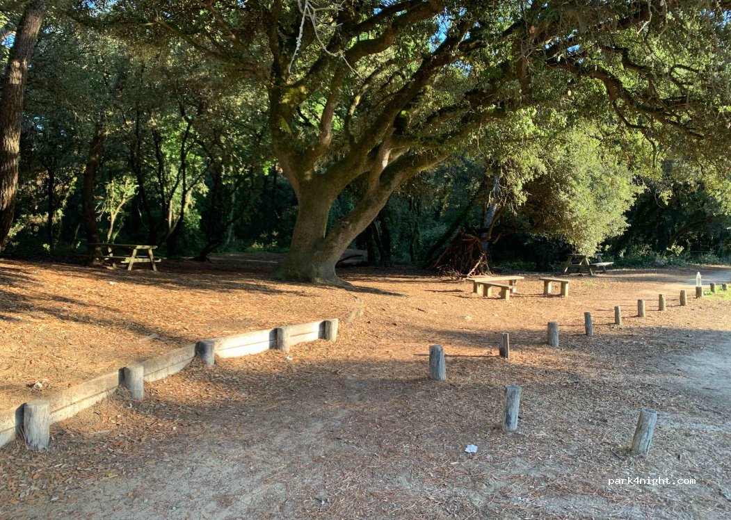 (17550) Dolus-d'Oléron - Forêt des Loritz — foto 4