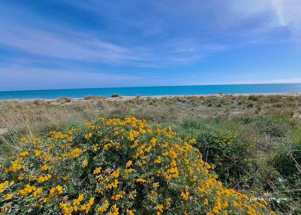 (88060) Guardavalle Marina - 1 Via Nazionale — foto 2