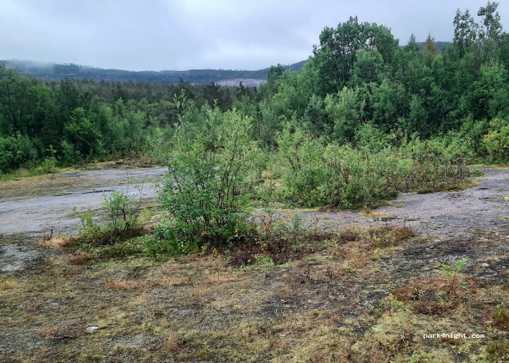 (8264)  - Sekundær Fylkesveg 613 — foto