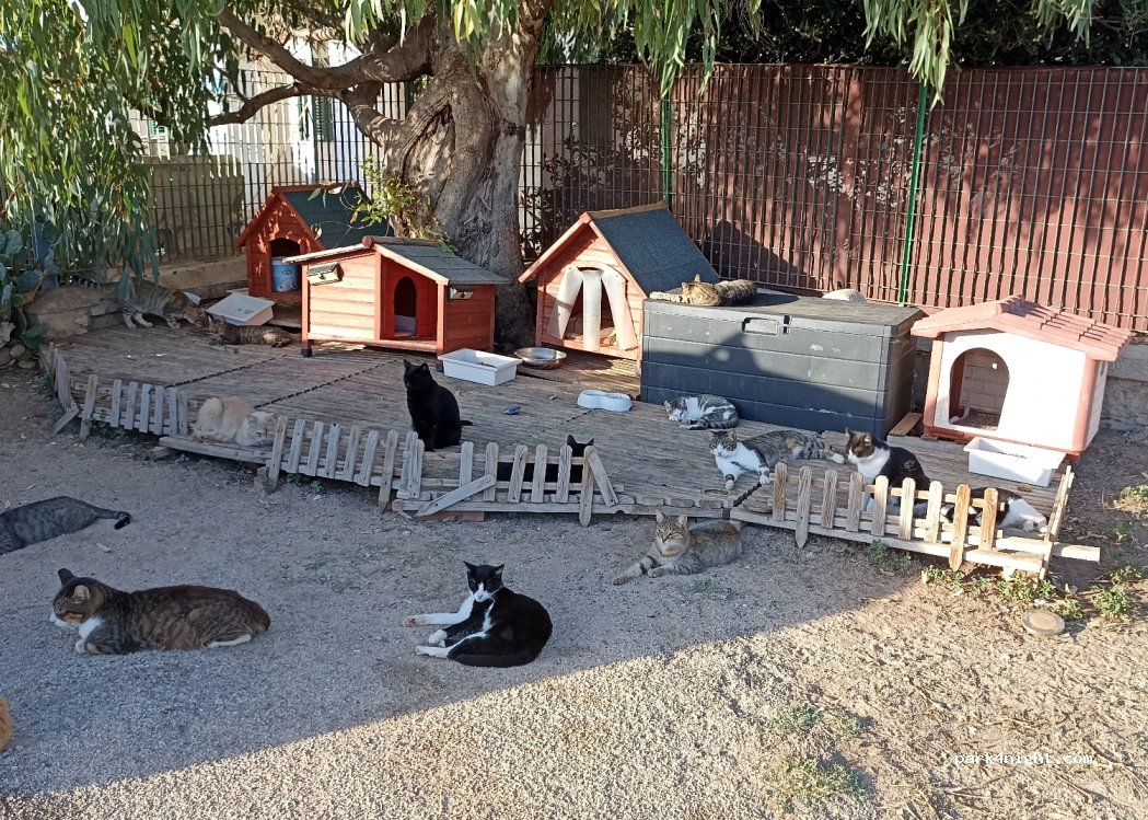 (91010) San Vito Lo Capo - 125 Via Faro — foto 3