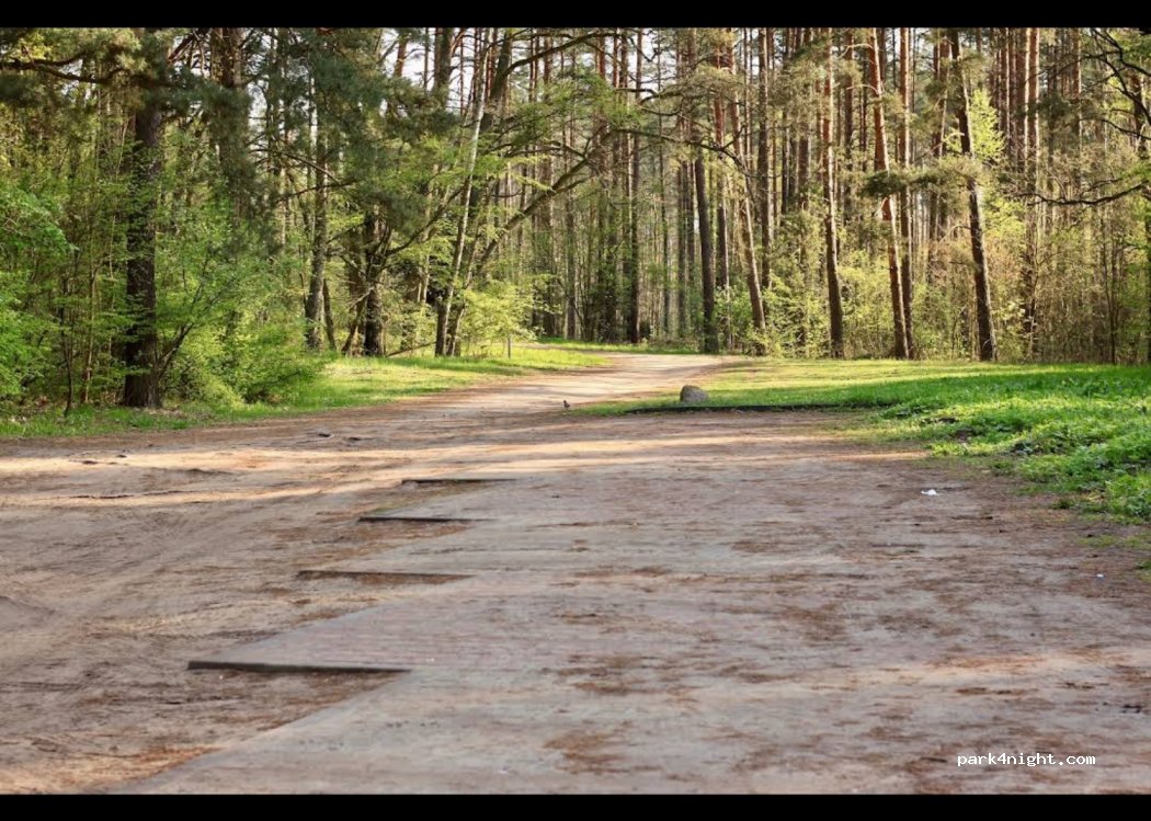 (10-687) Zazdrość - Droga Wojewódzka 598 — foto