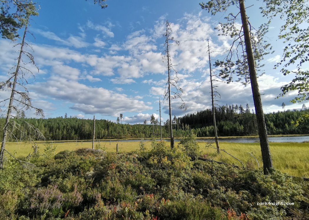 (680 96) Lesjöfors - 26 — foto 2