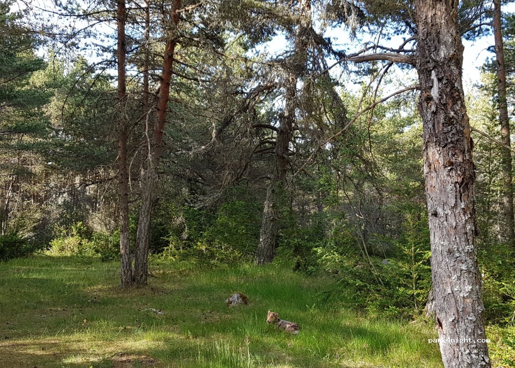 (48210) Massegros Causses Gorges - D16 — foto