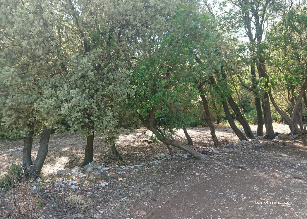 (20231) Zaton Doli - 44 D8 — foto