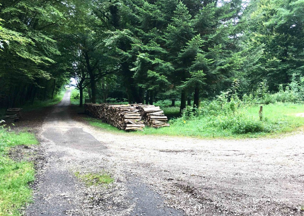 (70360) Scey-sur-Saône-et-Saint-Albin - Avenue de Verdun — foto