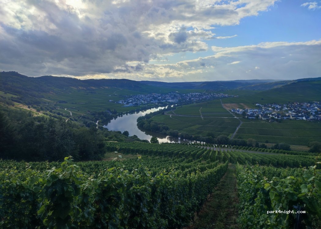 (54340) Trittenheim - L148 — foto 3
