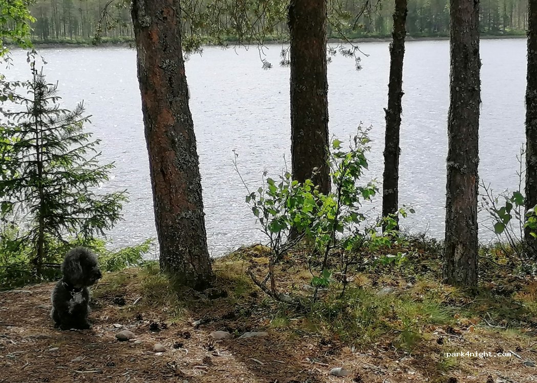 (790 90) Särna - 70 — foto 4