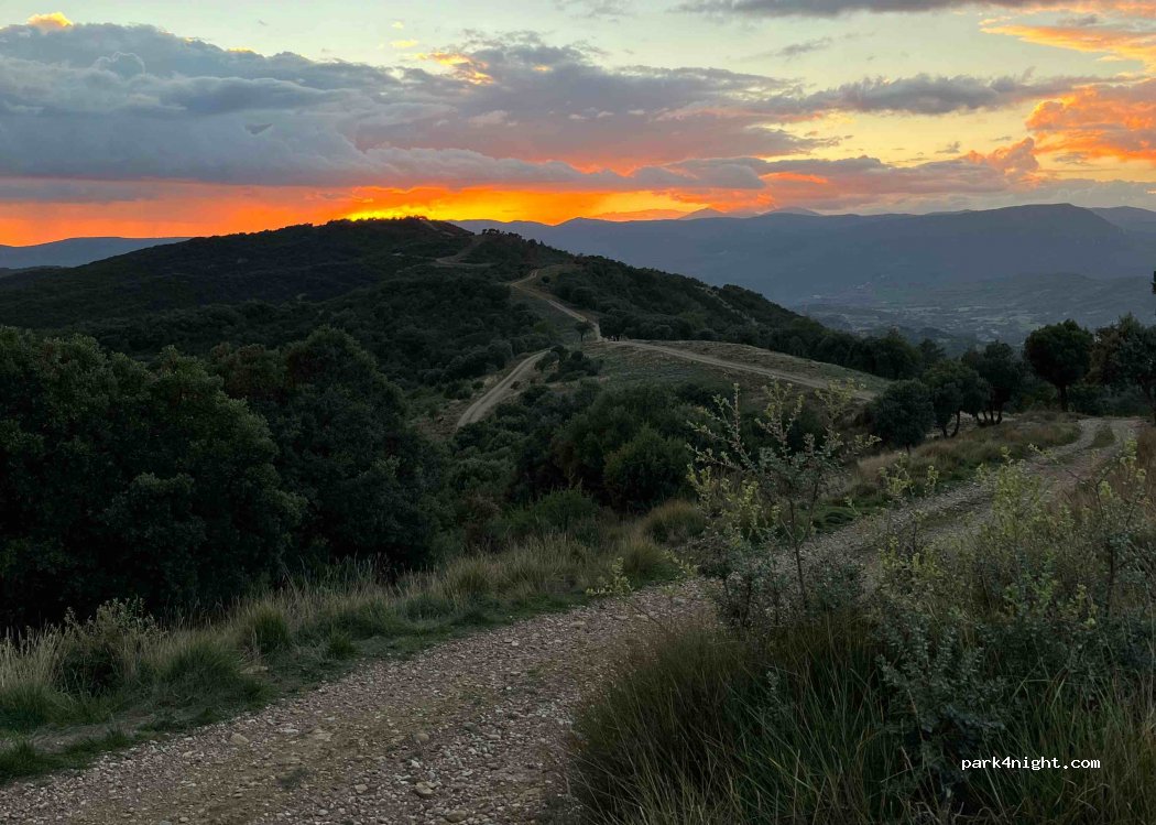 (22394) Olsón - Camino de Naval — foto 2