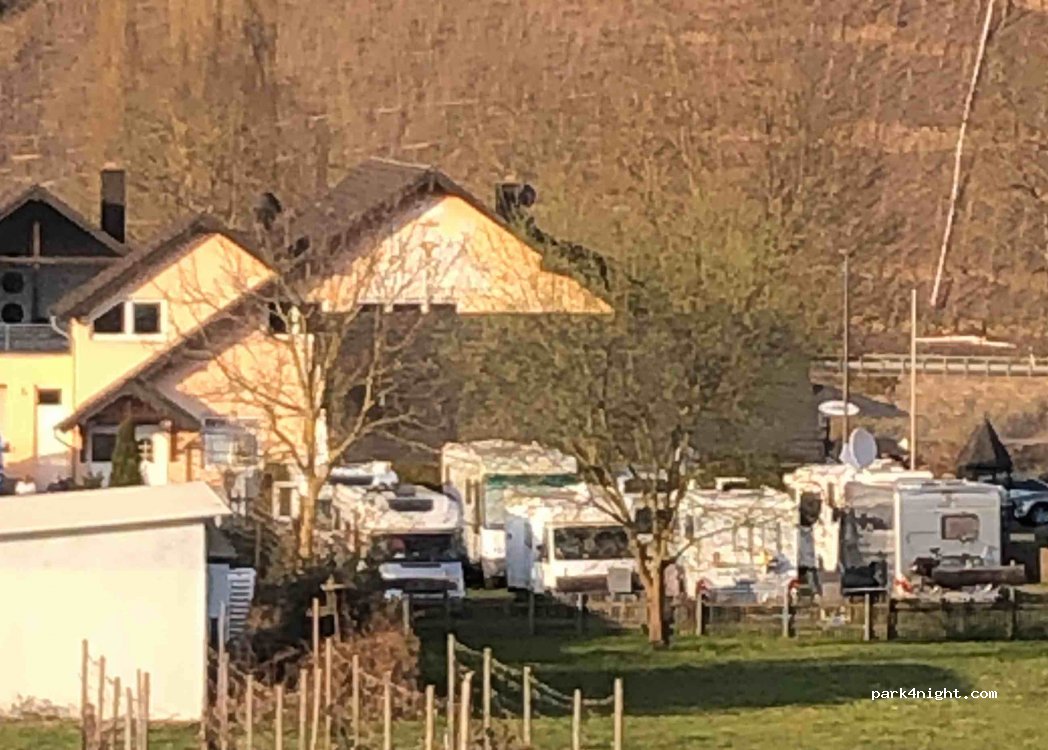 Restaurant Mosella Schinkenstube — foto 4