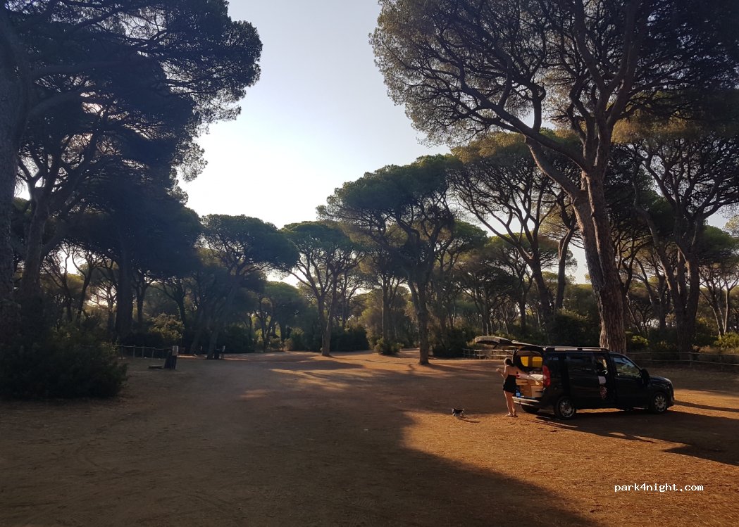 (58043) Tuscany - Unnamed Road — foto 2