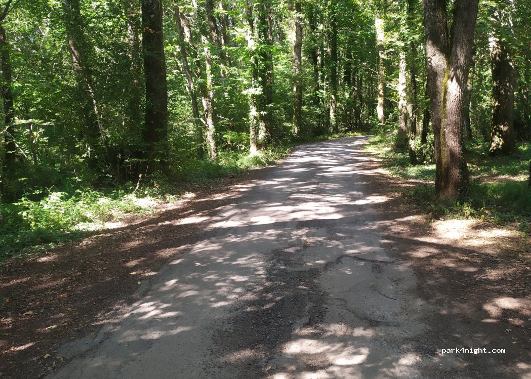 (86240) Smarves - Bois de Saint-Pierre — foto