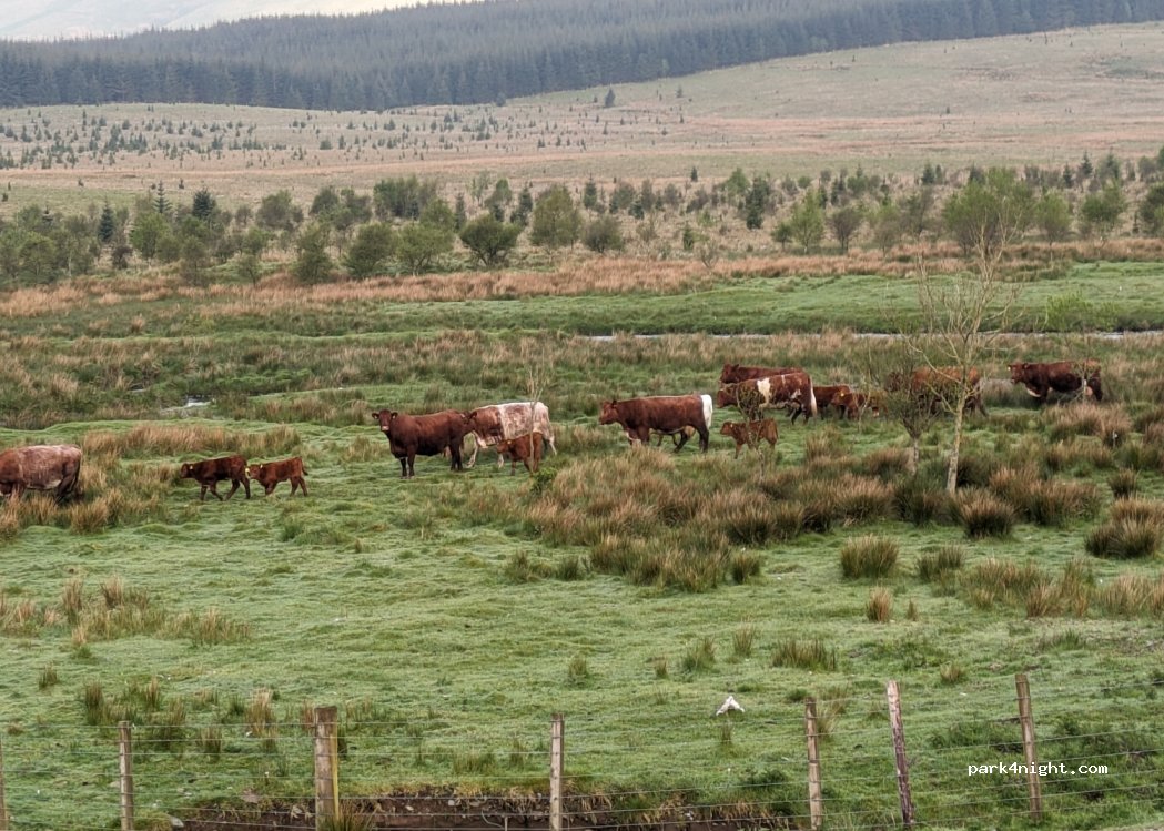 (ML12 6TJ) - Unnamed Road — foto 2
