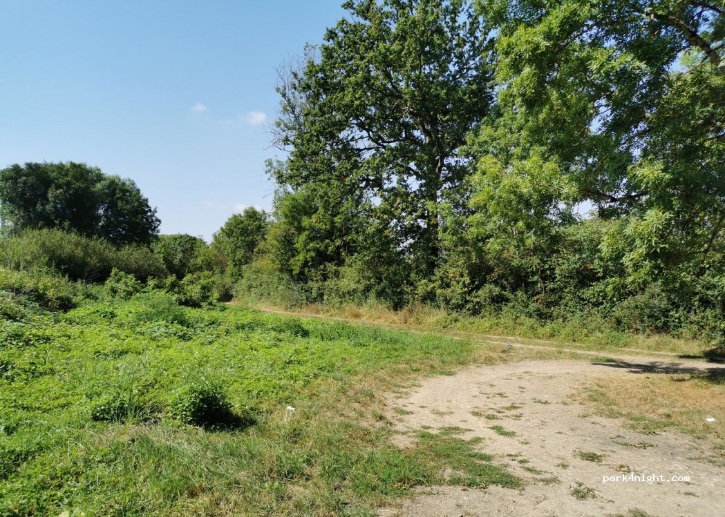 (58190) Metz-le-Comte - D165 — foto 2