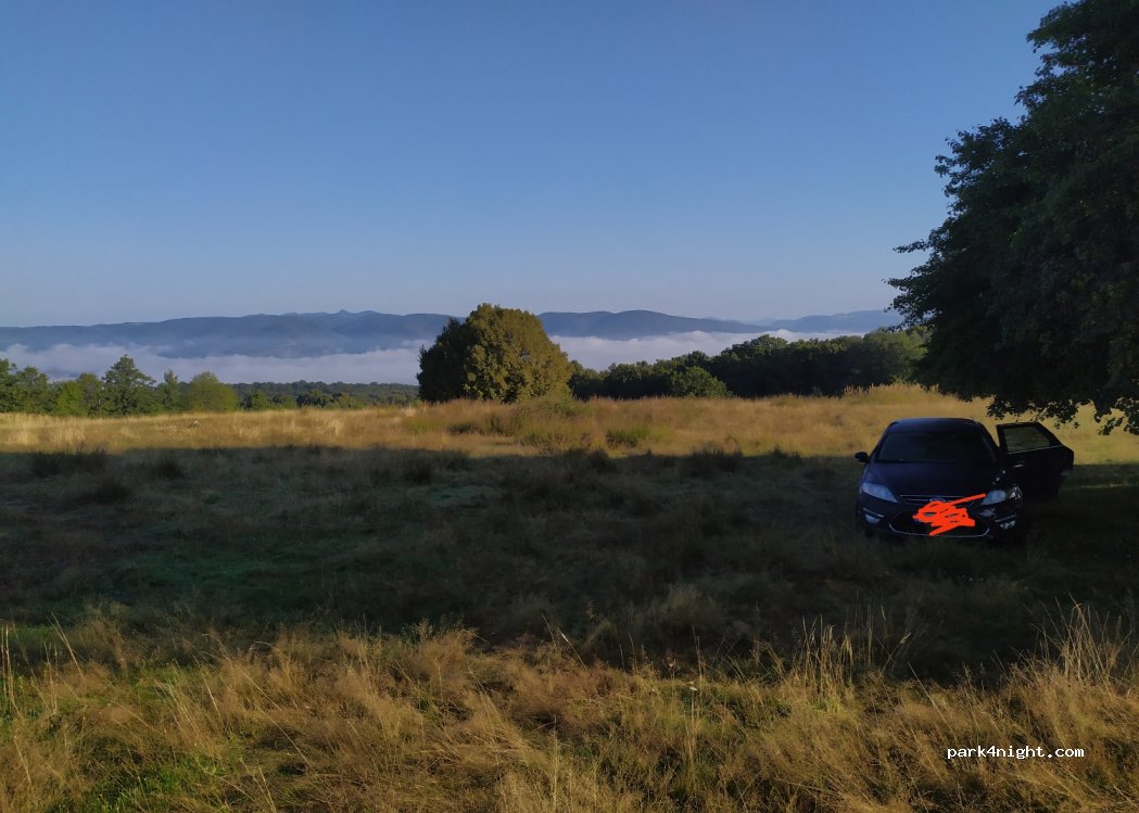 ()  - Strada Codrului — foto