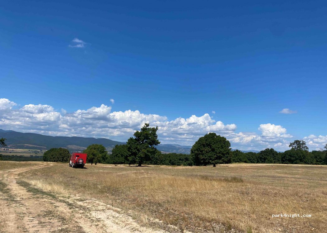 ()  - Strada Codrului — foto 2