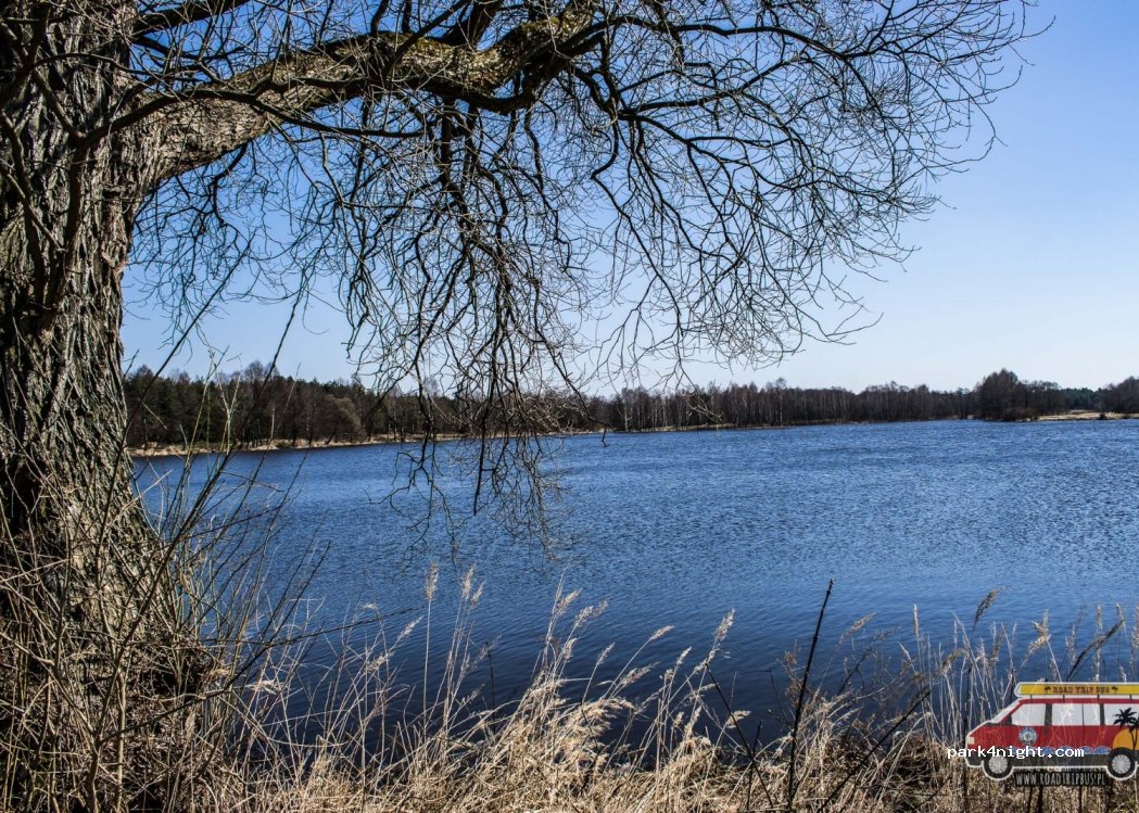 (26-242) Maleniec - — foto