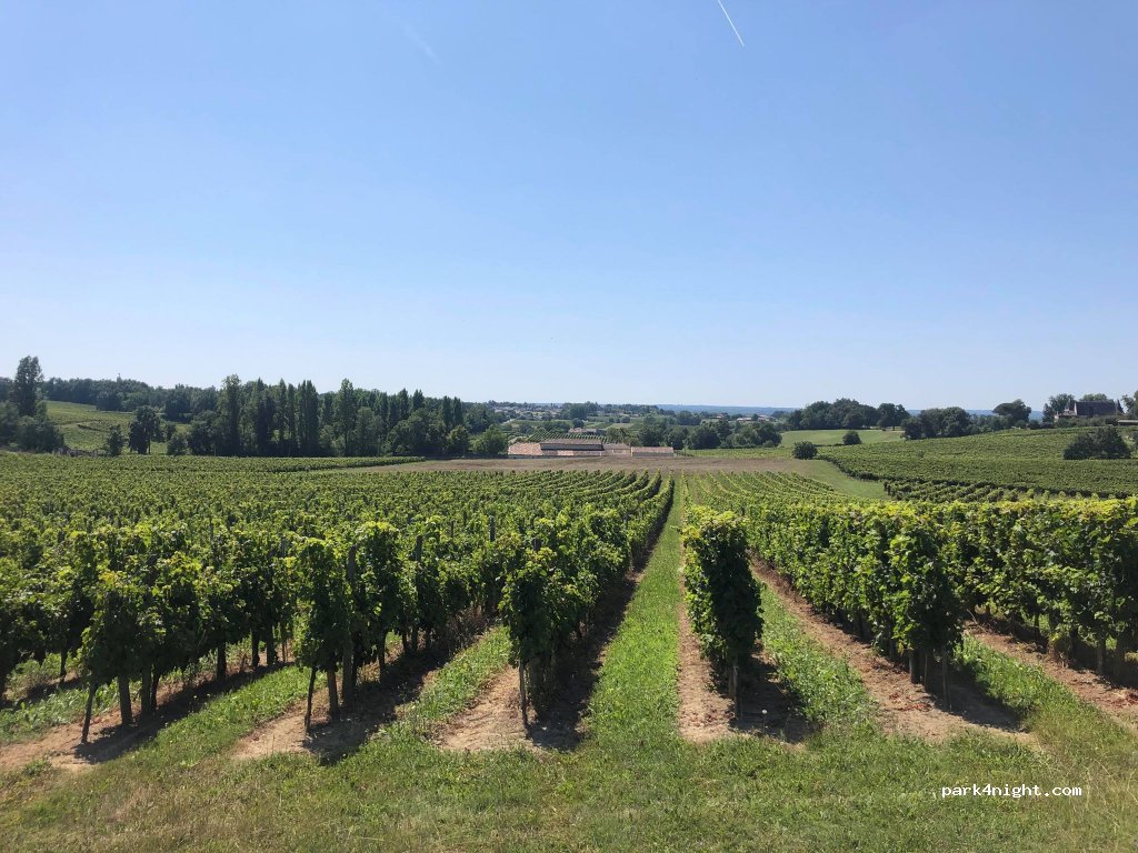 Vignobles Guillaume Bergeon — foto 3