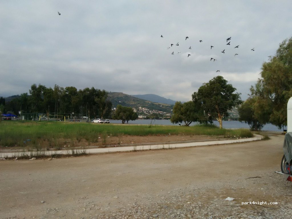 (251 00) Simpolitia - Paralias — foto