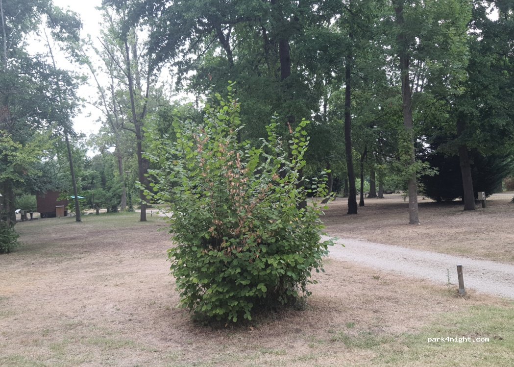 Camping de Dallet — foto 3