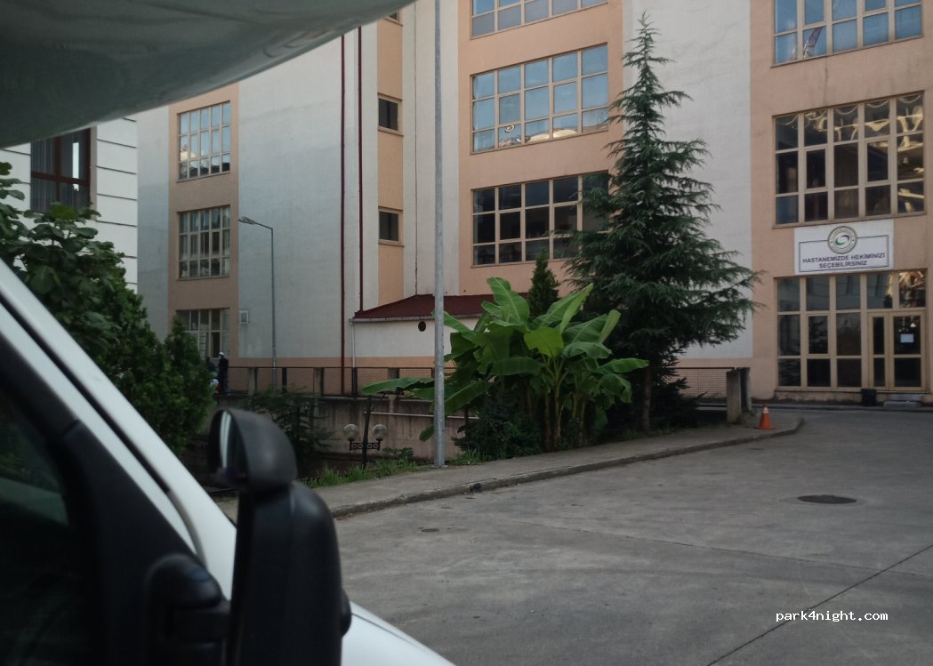 (53340) - 2 Eski Rize Hopa Yolu — foto 2