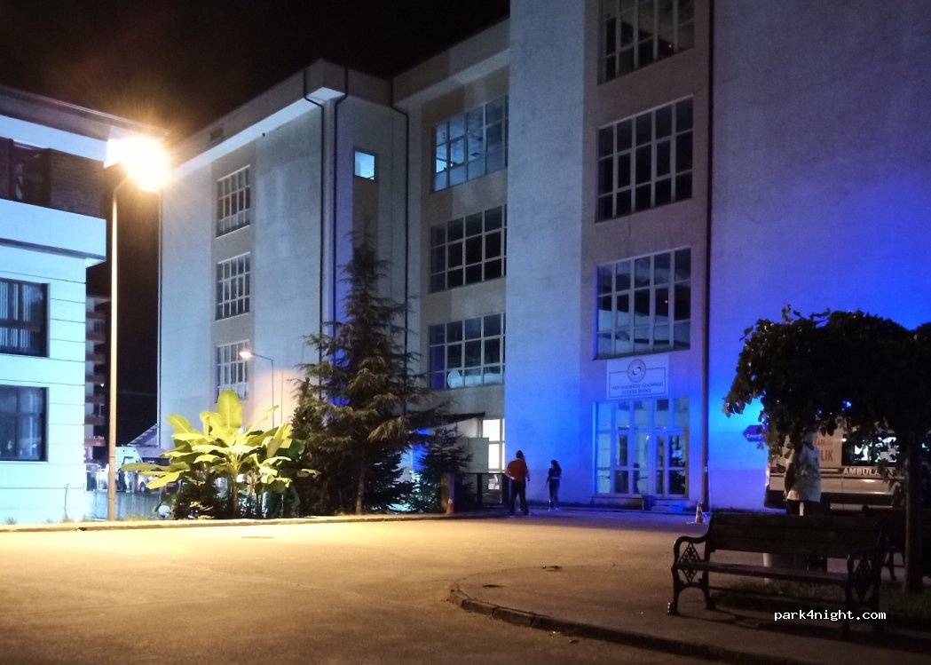 (53340) - 2 Eski Rize Hopa Yolu — foto 4