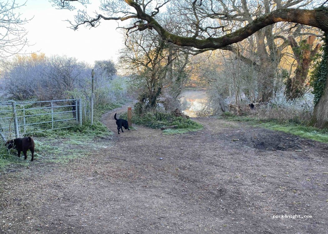 (BH23 6BH)  - Pig Shoot Lane — foto