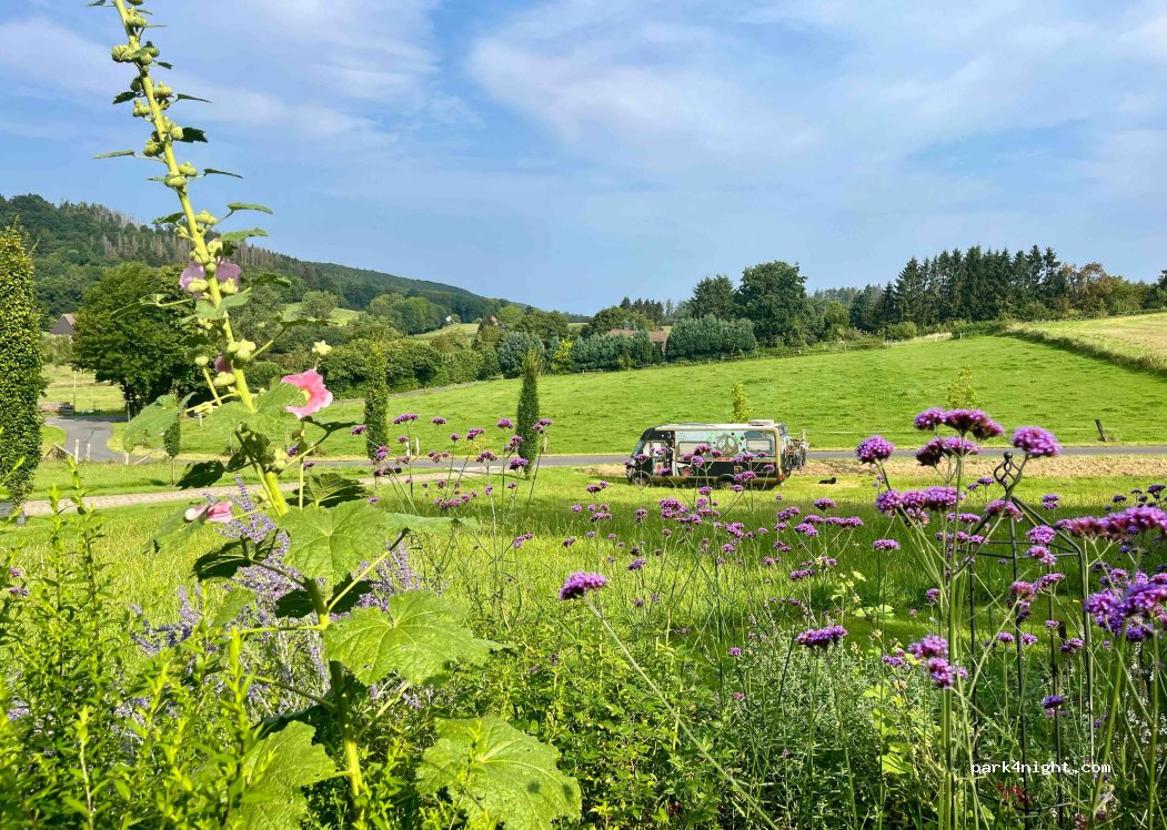 (32805) Horn-Bad Meinberg - Holländer Weg 15 — foto