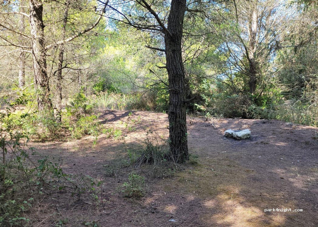 (1001) Divjakë - Unnamed Road — foto 2
