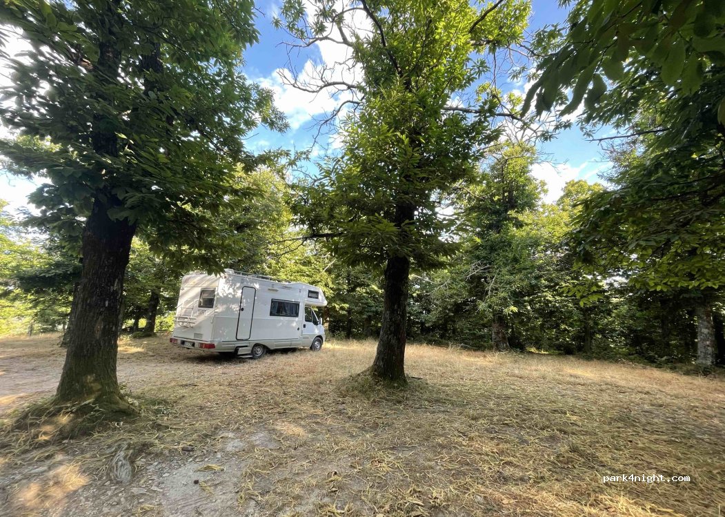 (55012) Capannori - Via del Castagnone — foto 4