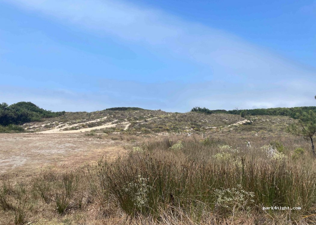 (3870-304) Torreira - Unnamed Road — foto