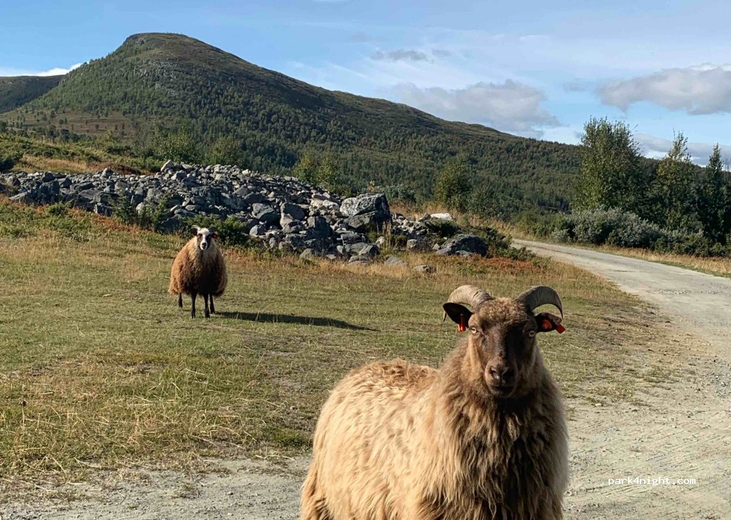 (2676) Heidal - 651 Kvernbruvegen — foto