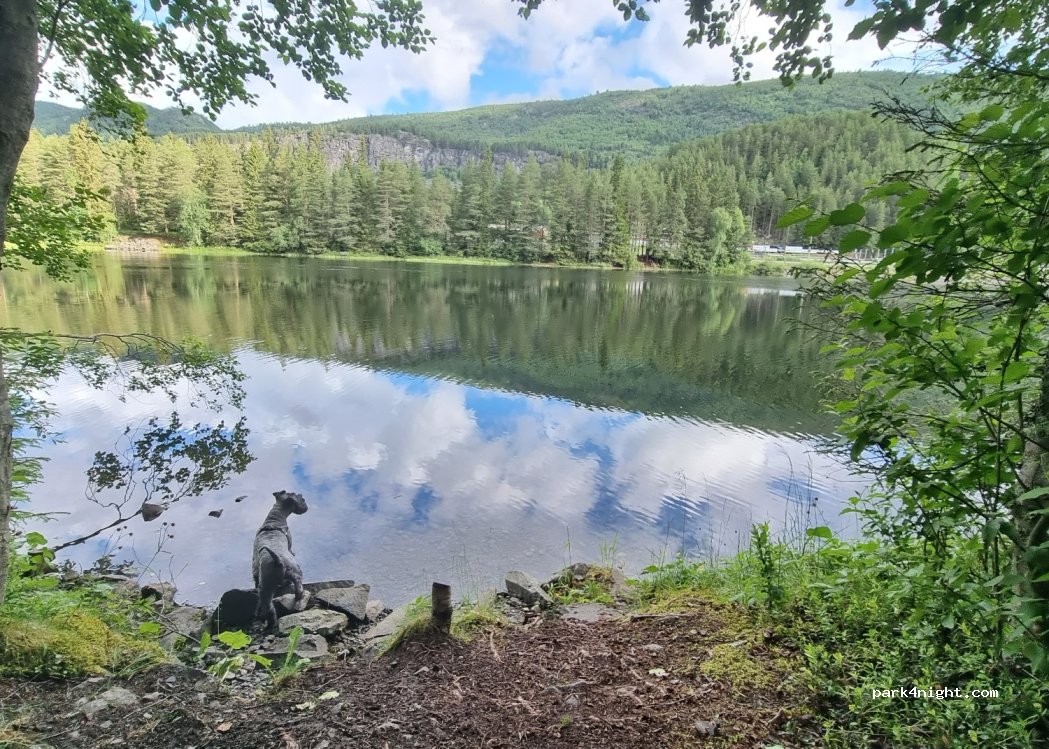 (3576) Hol - 96 Vestaførvegen — foto 3