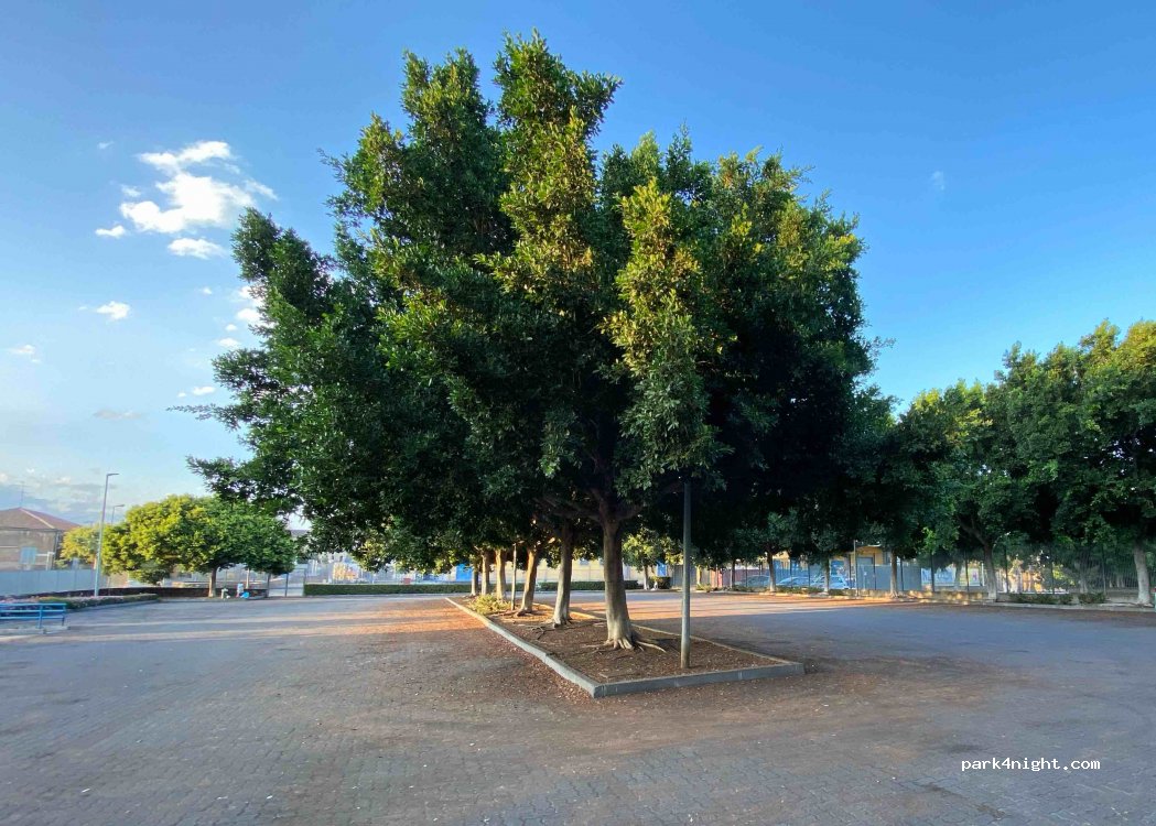 (95024) Acireale - 14 Via Nazionale per Catania — foto 2