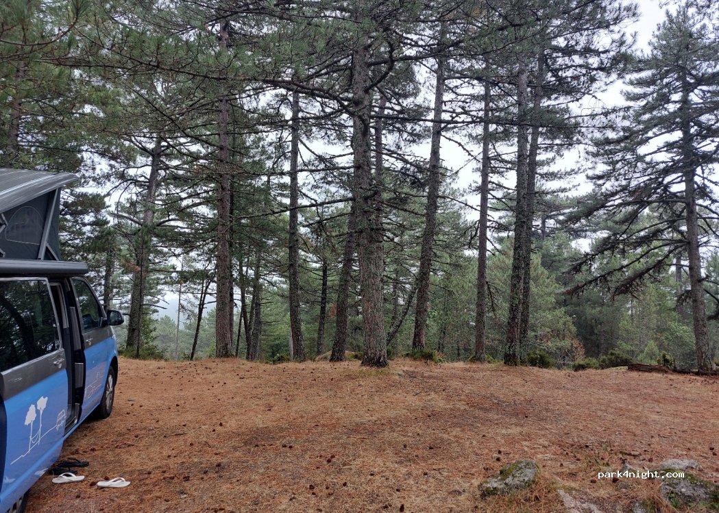 (20137) Porto-Vecchio - Unnamed Road — foto