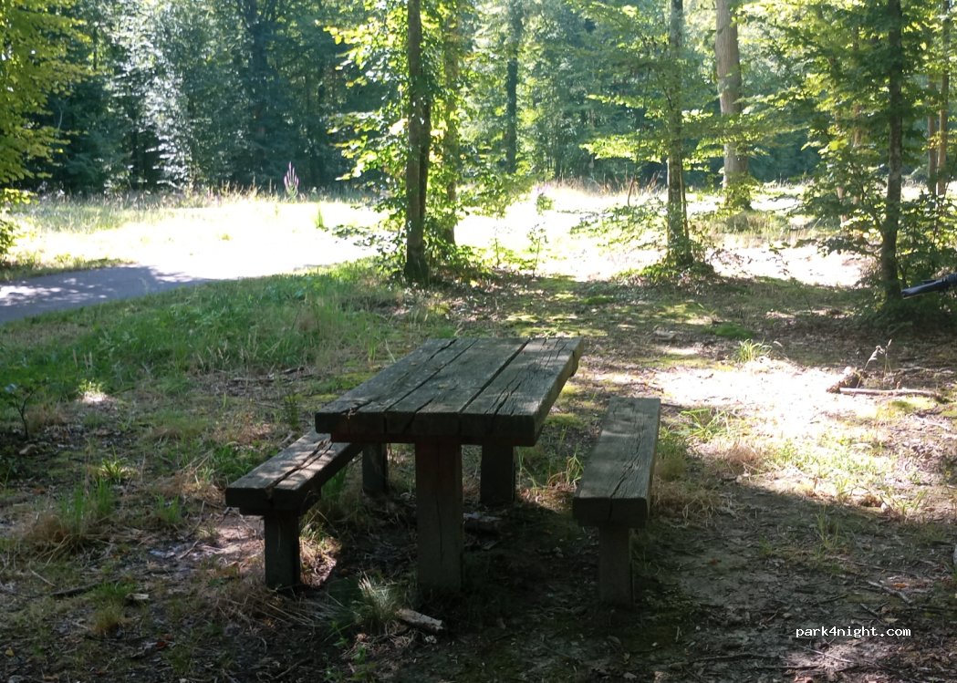 (10220) Piney - Ligne des Comtes Champagne — foto 3
